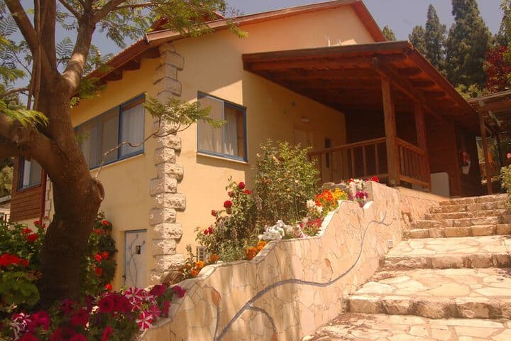 Dream Time photo 3