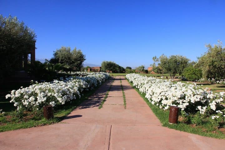 Quaryati Ecolodge Marrakech photo 2