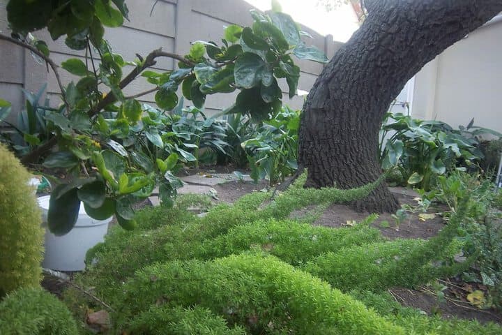 Franchise Guest House photo 2