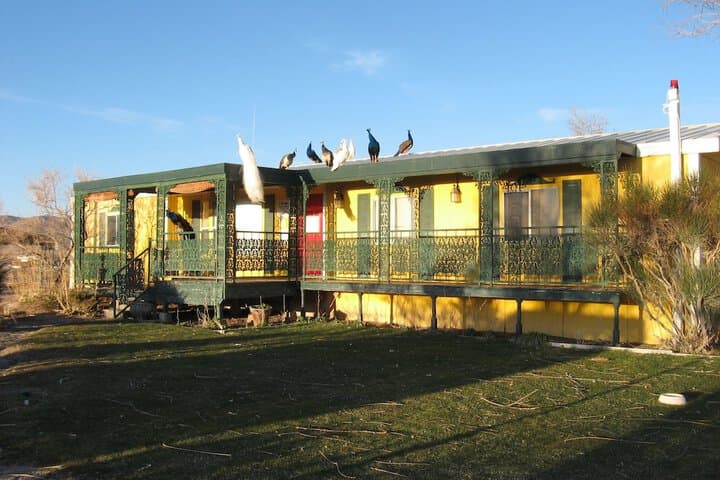 Shady Lady Bed & Breakfast photo 2