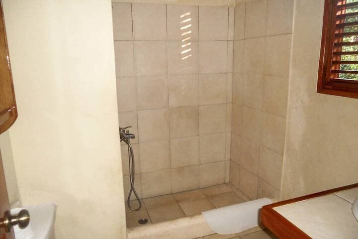 Villa Diana Ocean Front photo 5