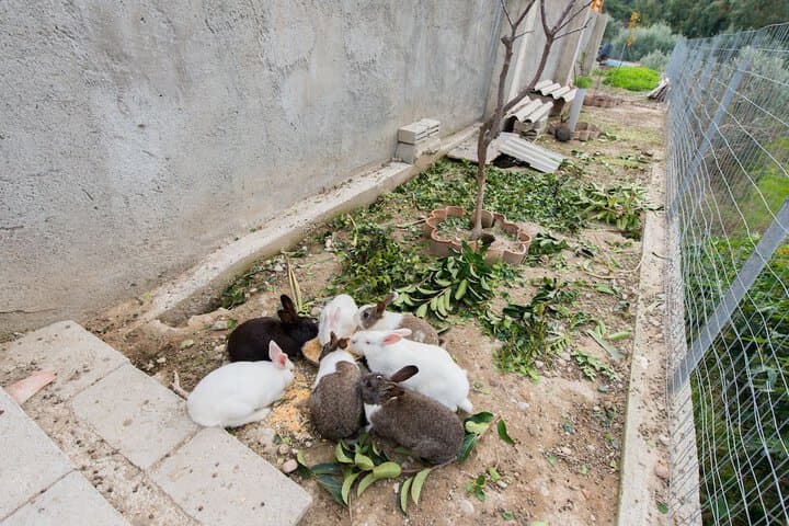 Natura House photo 2