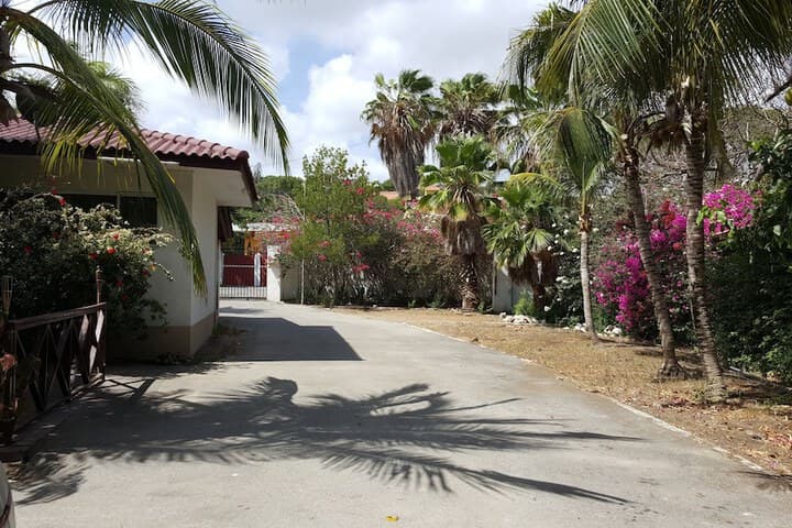 Damacor Apartments photo 4