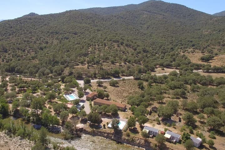 E Canicce photo 3