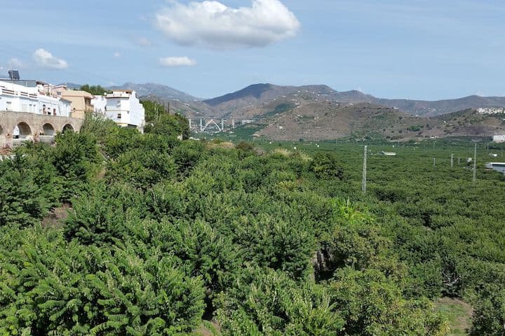 Hotel San Sebastián Almuñecar photo 3