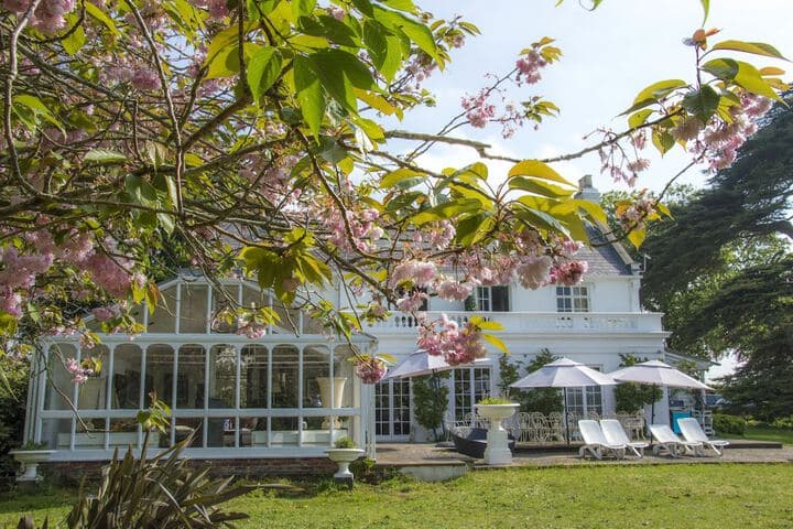 Cedar House Boutique B&B photo 3