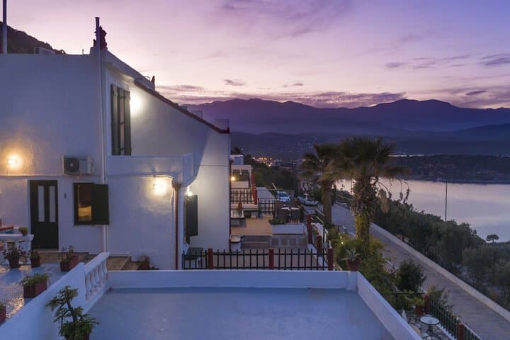 Anemone Seaside Traditional Homes photo 4