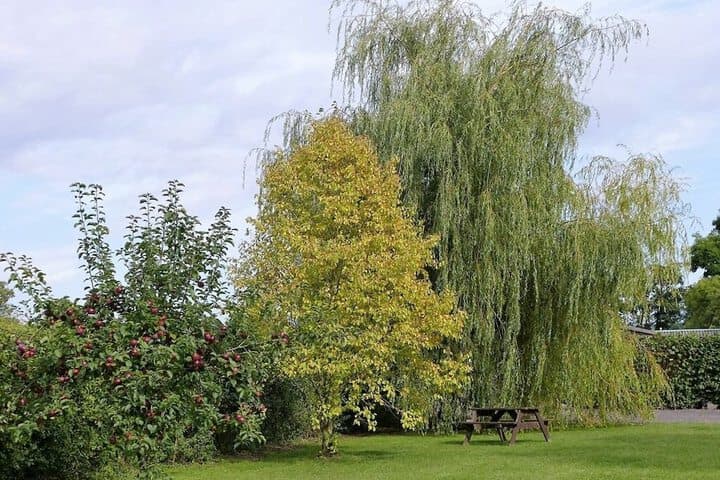 The Willows Accommodation photo 4