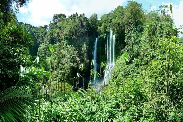 Omunity Bali photo 4