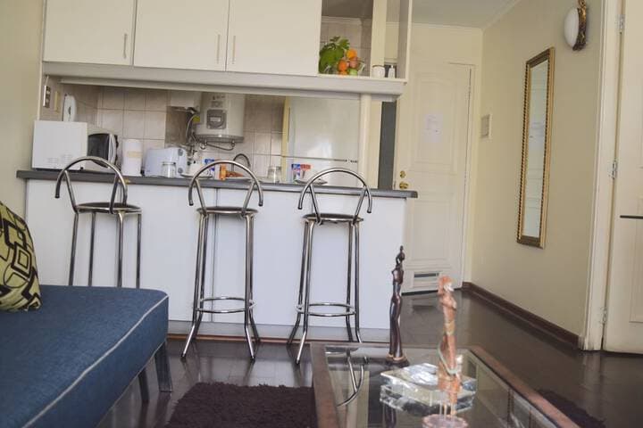 VO Bellas Artes Apartment photo 4