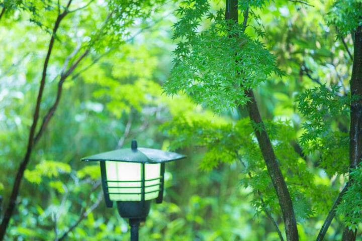 Yufuin Tsukahara Kogen Cottage Donguri photo 5