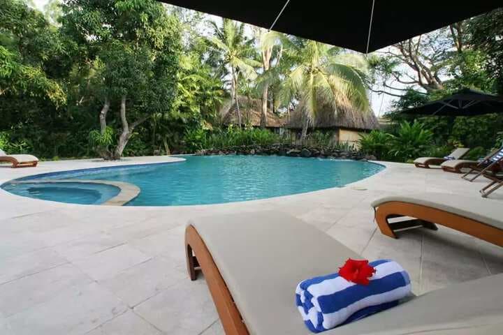 The Fiji Orchid photo 2