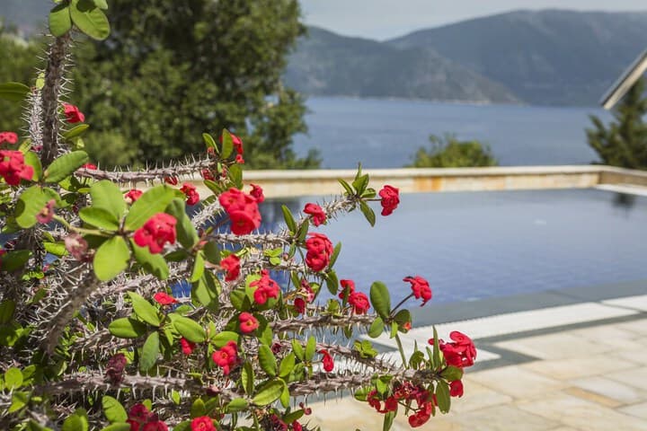 Faros Residence Adults Only photo 4