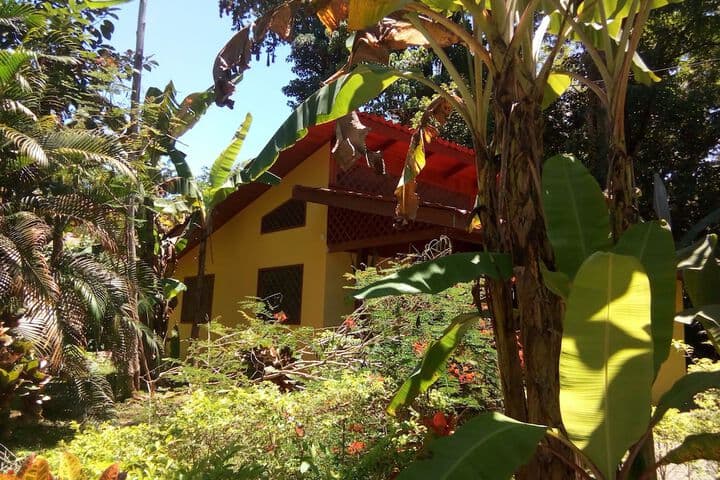 Colores del Caribe photo 3