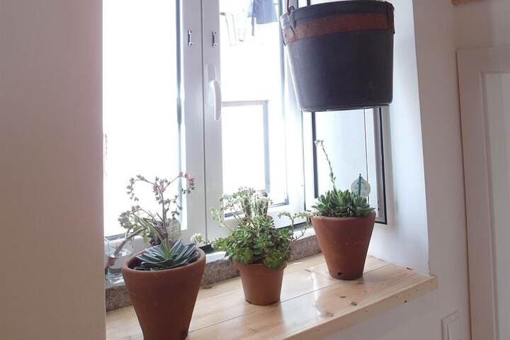 Alfamasweethome 1 photo 4