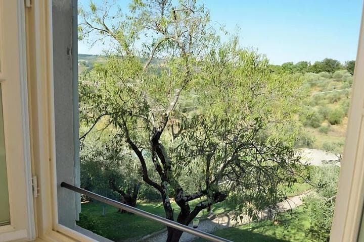 Villa Borri Country Suites photo 4