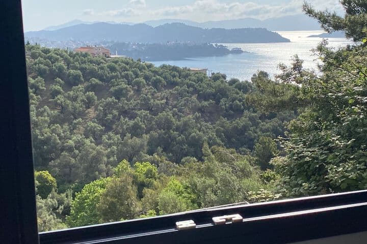 Skiathos Gea Villas photo 3