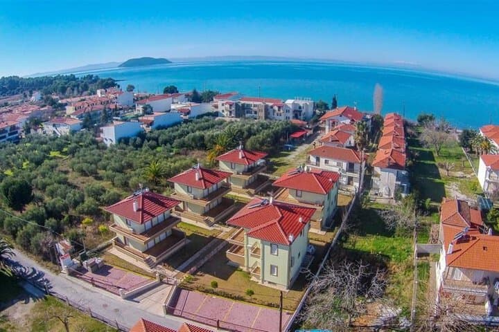 Olive Village photo 1