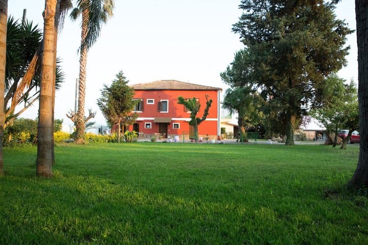 La Chora di Paestum photo 2