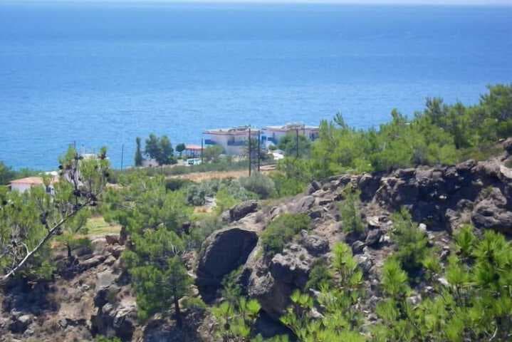 Cypriana Apartments photo 3