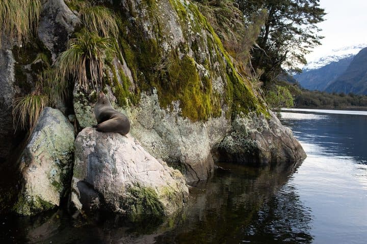 Fiordland Discovery photo 2