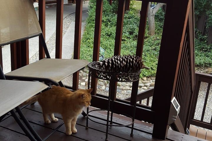 Natures Inn Bed&Breakfast photo 5
