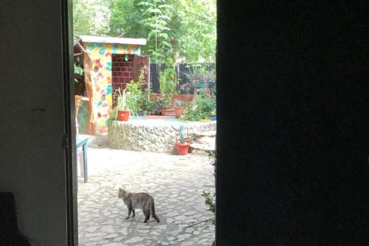 Casa Bella photo 2