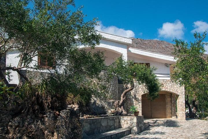Villa Mediterranea photo 5