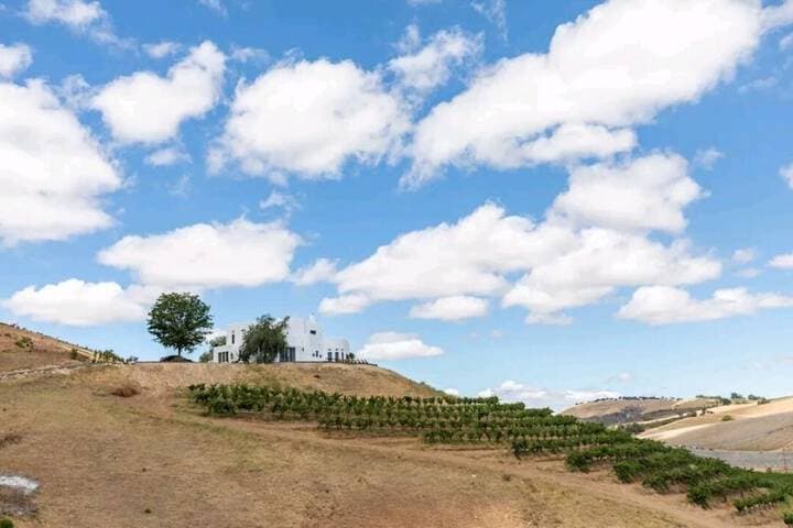 Sirena Vineyard Resort photo 3