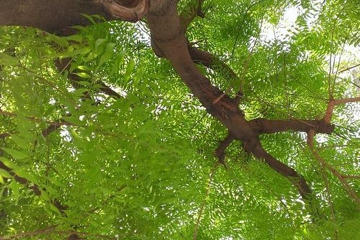 Aitabi Hostel photo 2