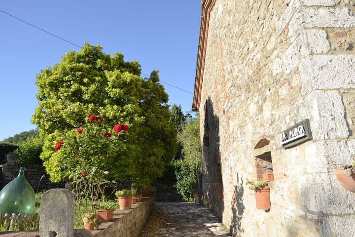 La Murata photo 5