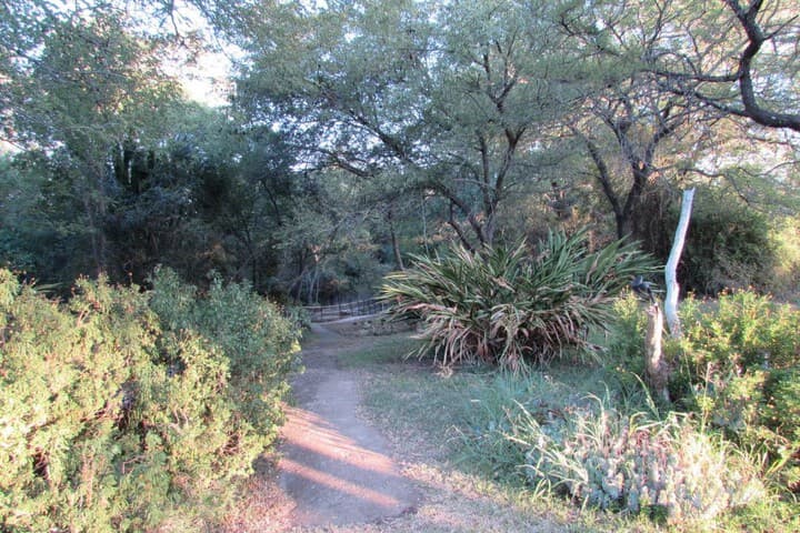 Amanzimloti Riverside Bush Camp photo 5