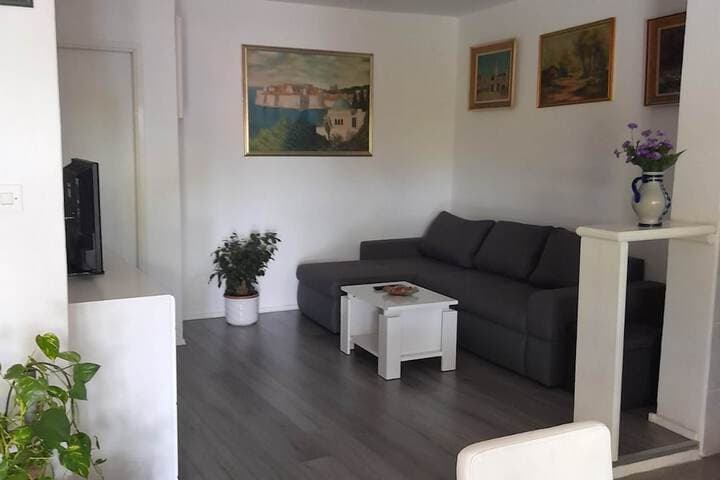 Apartment Ines photo 4