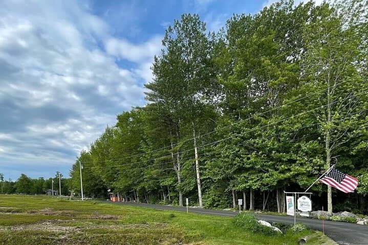 Blueberry Fields B&B photo 5
