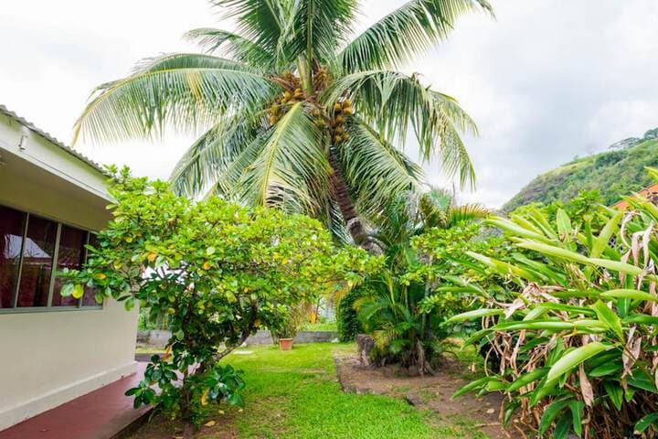 Pension Te Miti Hostel photo 3