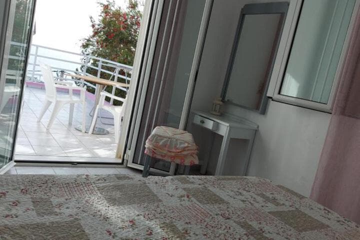 Camelia photo 3