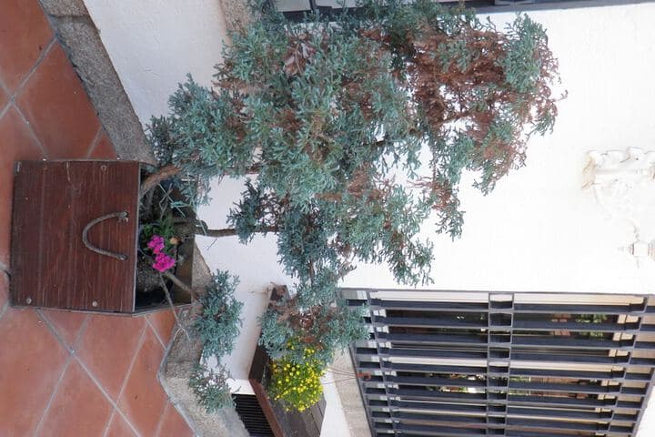 Hostal Siete Picos photo 2