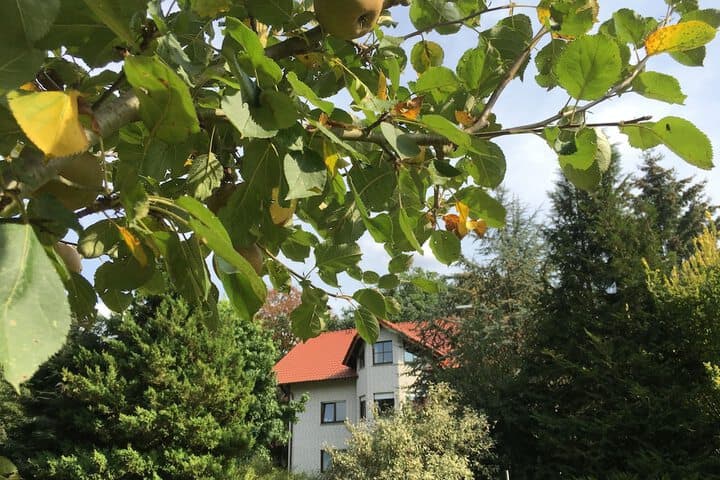 Landhaus Pension Göke photo 4