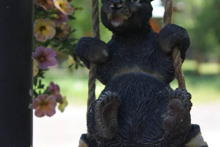 Black Bear Manor photo 3