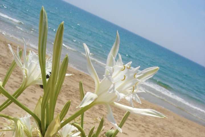 Giache Bianche Beach destination view