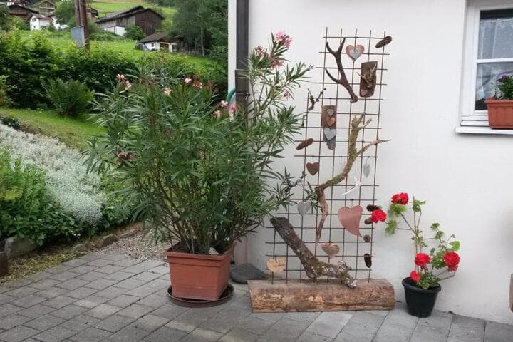 Ferienhaus Büsch photo 3