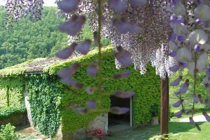 Casa Uscioli photo 3