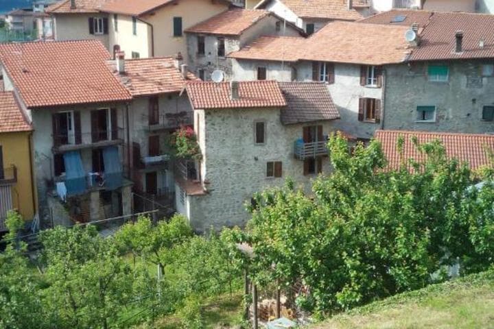 Nesso destination view