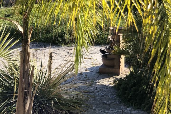Il Giardino di Adriana photo 2