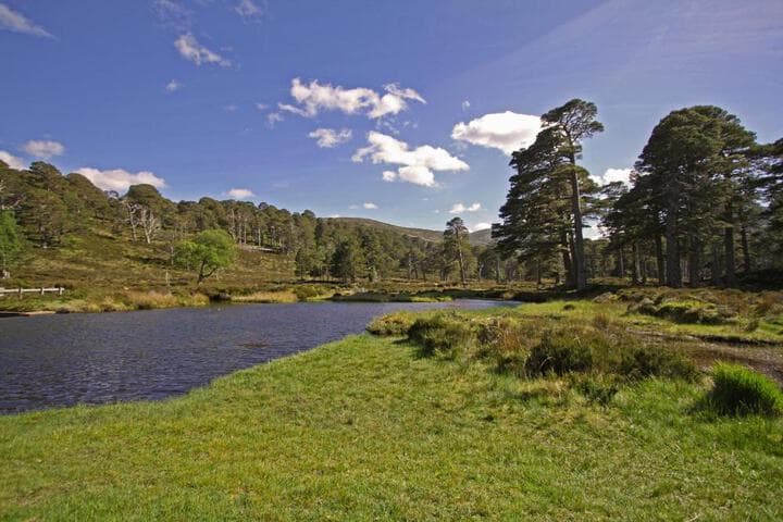 Ballater Hostel photo 5