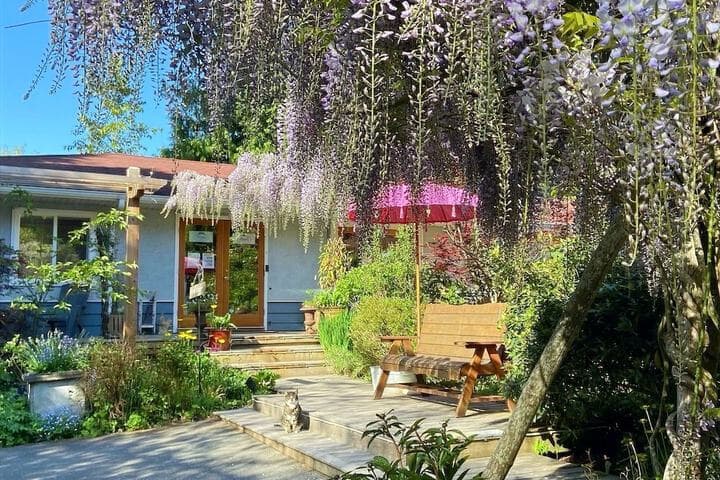 Wisteria Guest House photo 1