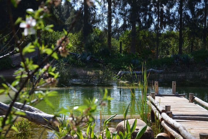 Addo African Home photo 2
