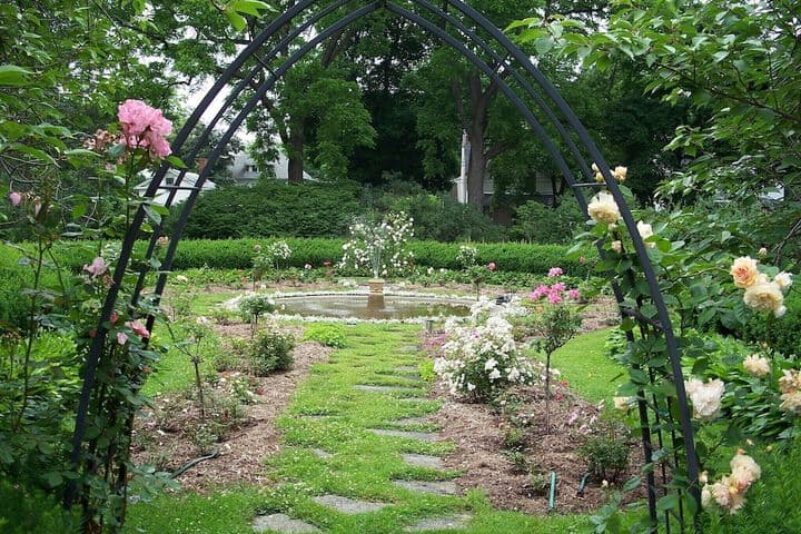 Vintage Gardens Bed & Breakfast photo 5