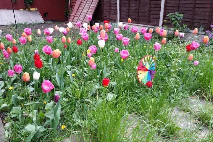 Regent Guest House photo 3