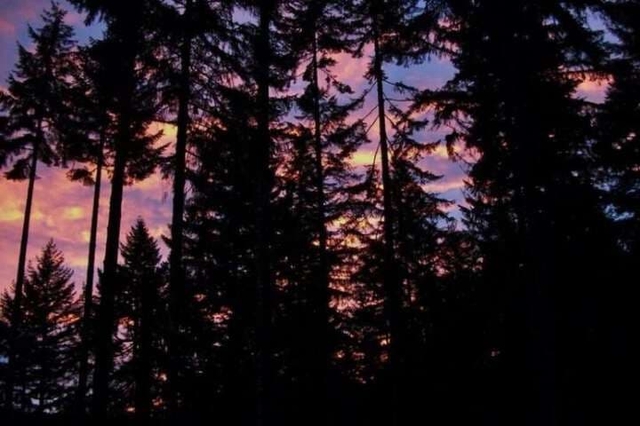 Lanzarotta Bed&Breakfast photo 5